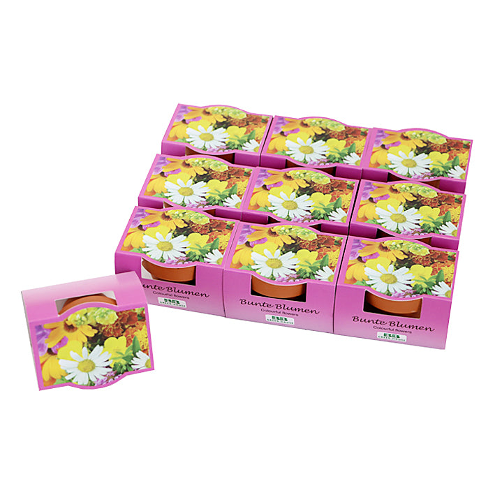 10 Mini-Pflanzset "Bunte Blumen"
