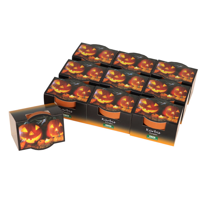 10 Mini-Pflanzset "Halloween Kürbis"