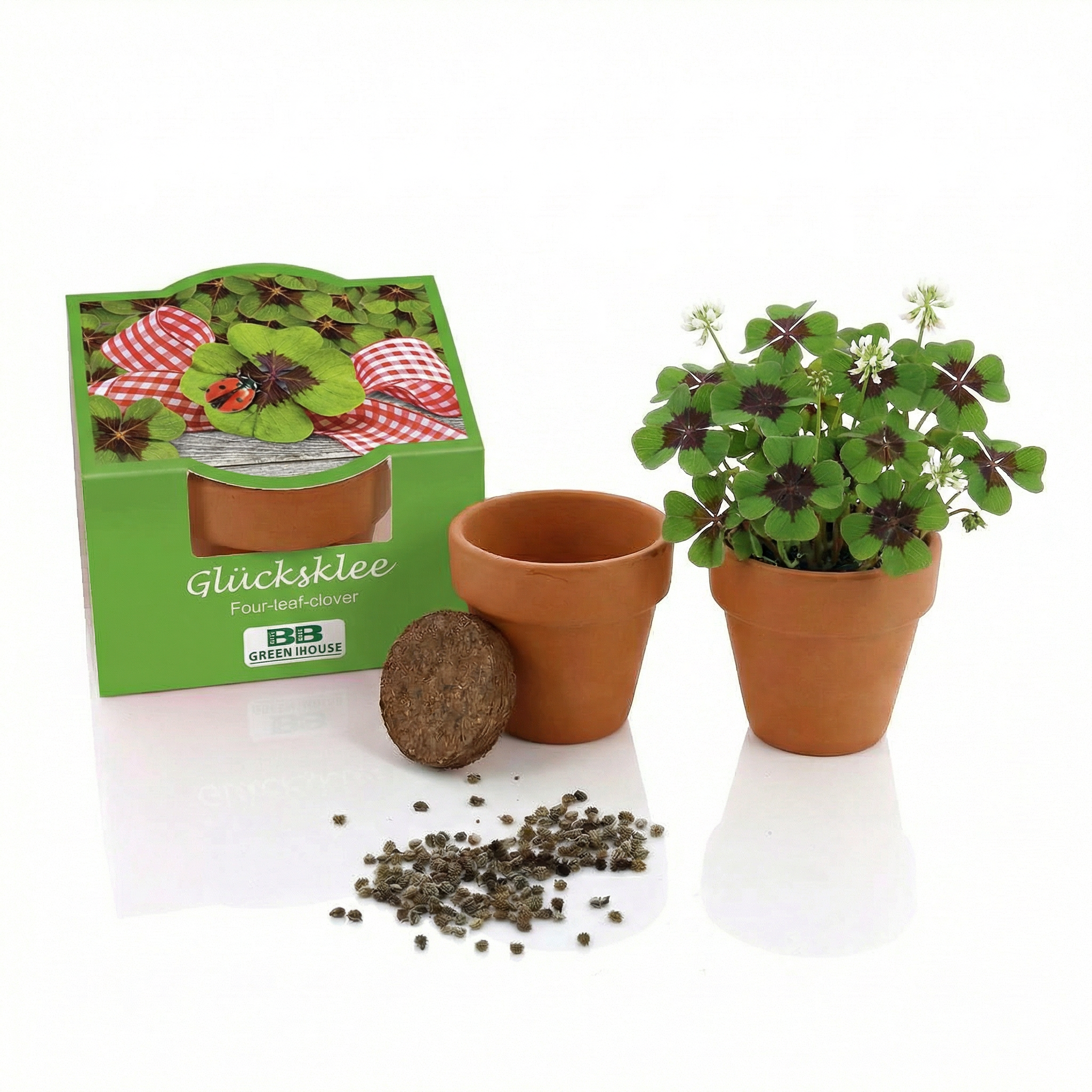 Mini-Pflanzensets "Glücksklee"