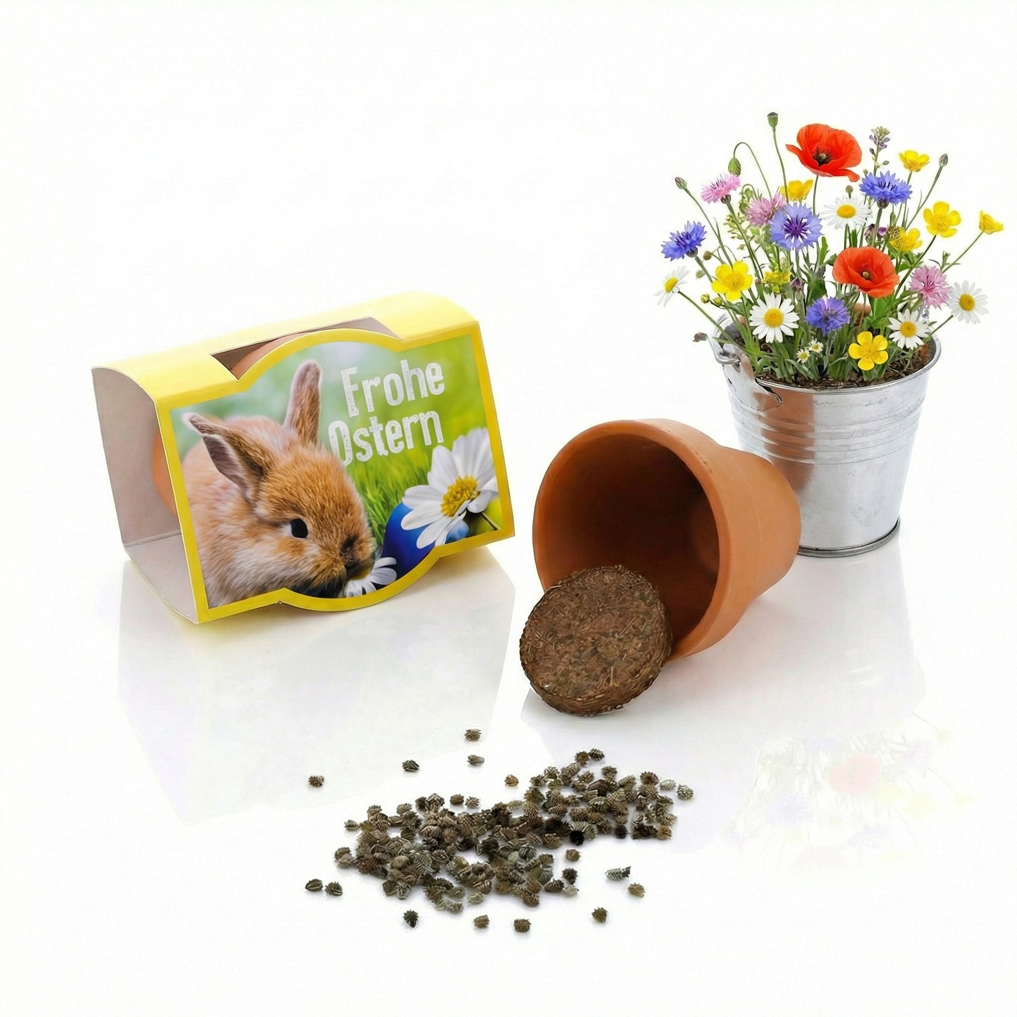 anzuchtset frohe ostern