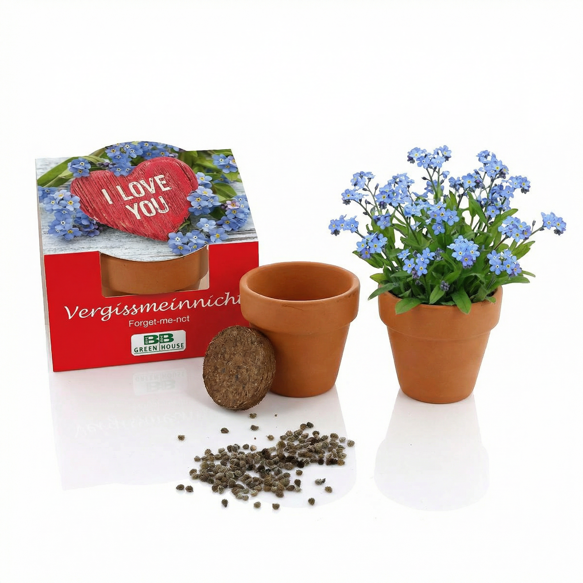 Anzuchtset Vergissmeinnicht I love you