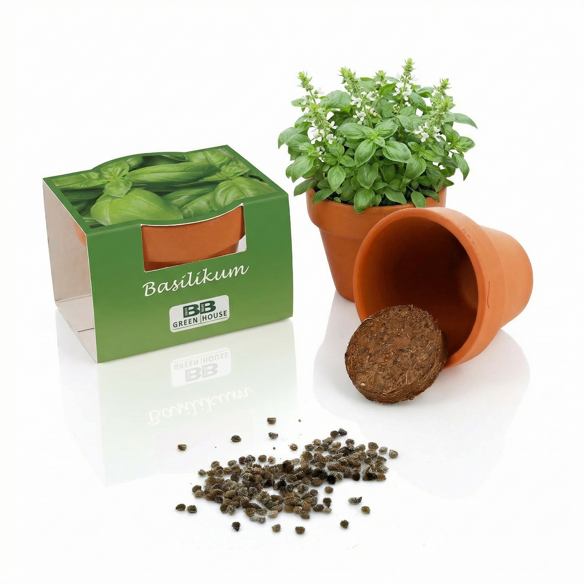 Anzuchtset Minipflanzenset Basilikum
