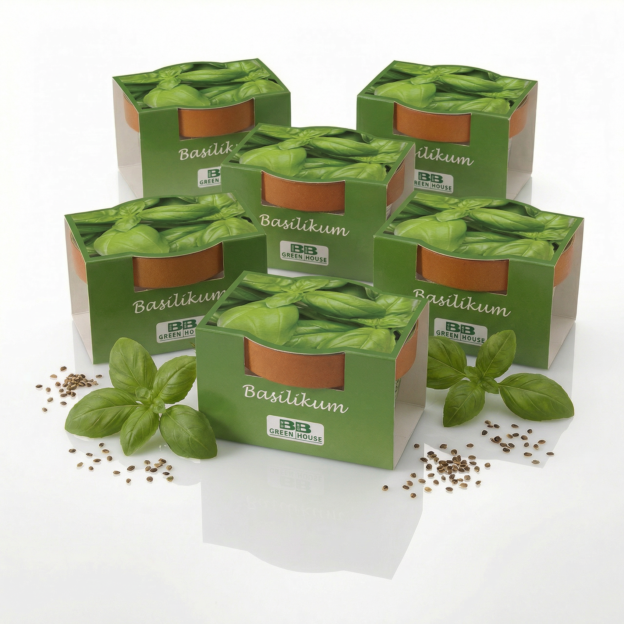 5 Stk. Minipflanzenset Basilikum