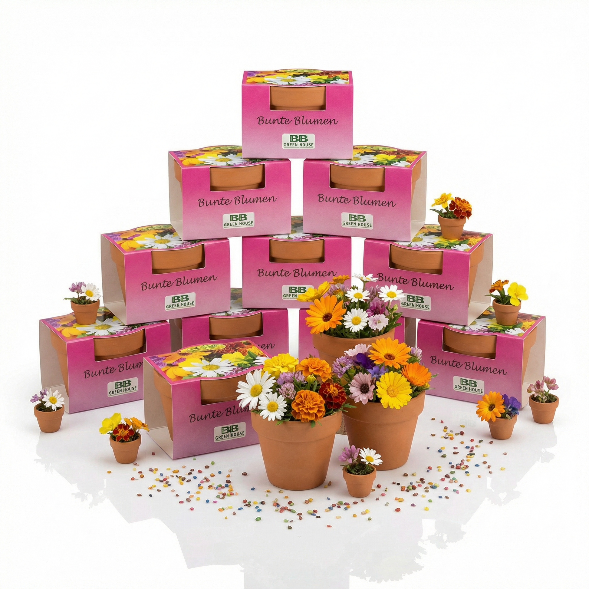 Minipflanzenset Bunte Blumen 10 Stk.