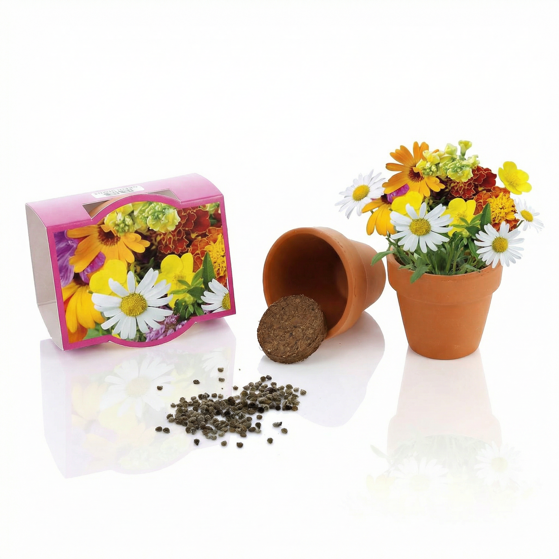 Anzuchtset Bunte Blumen