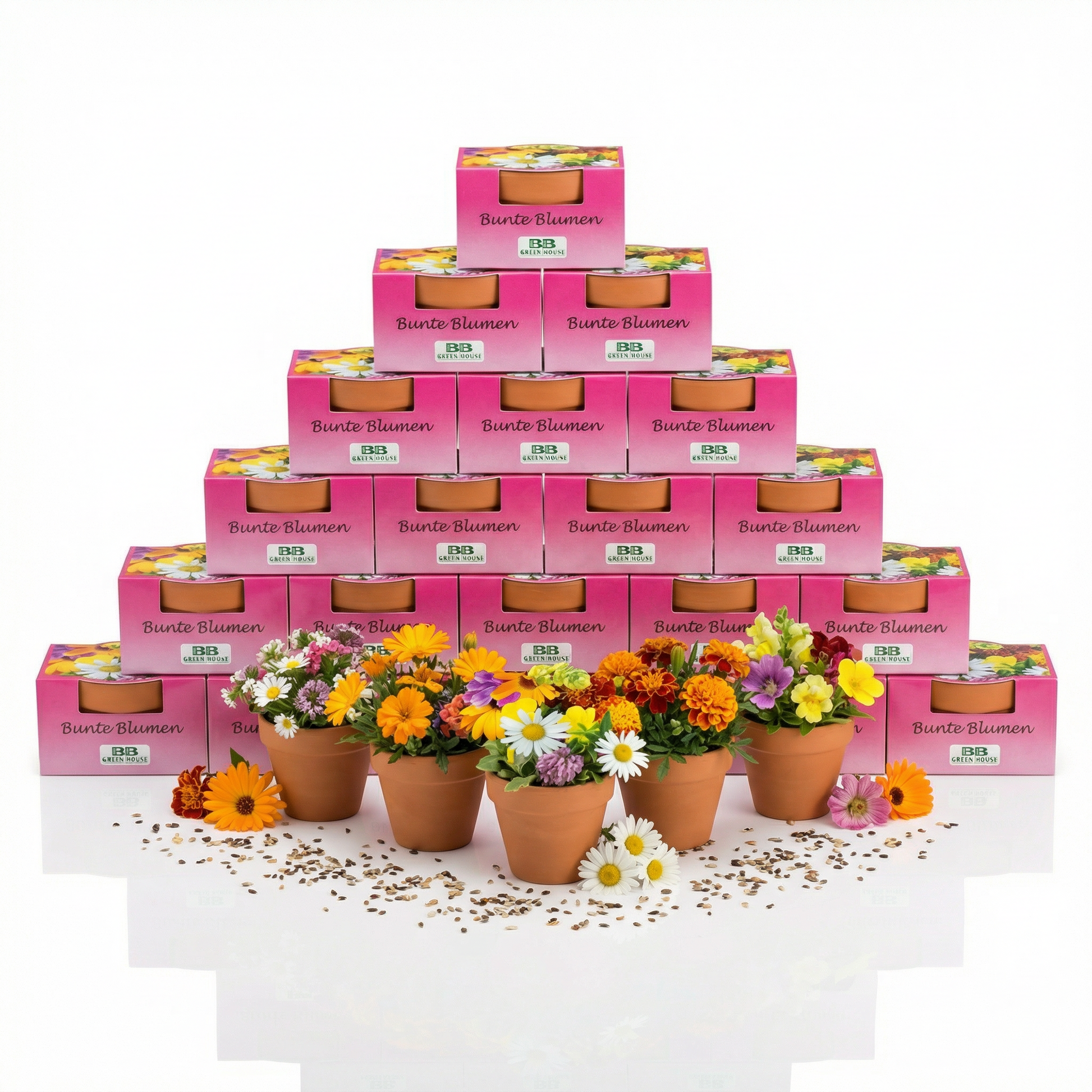 Minipflanzenset Bunte Blumen 20 Stk.