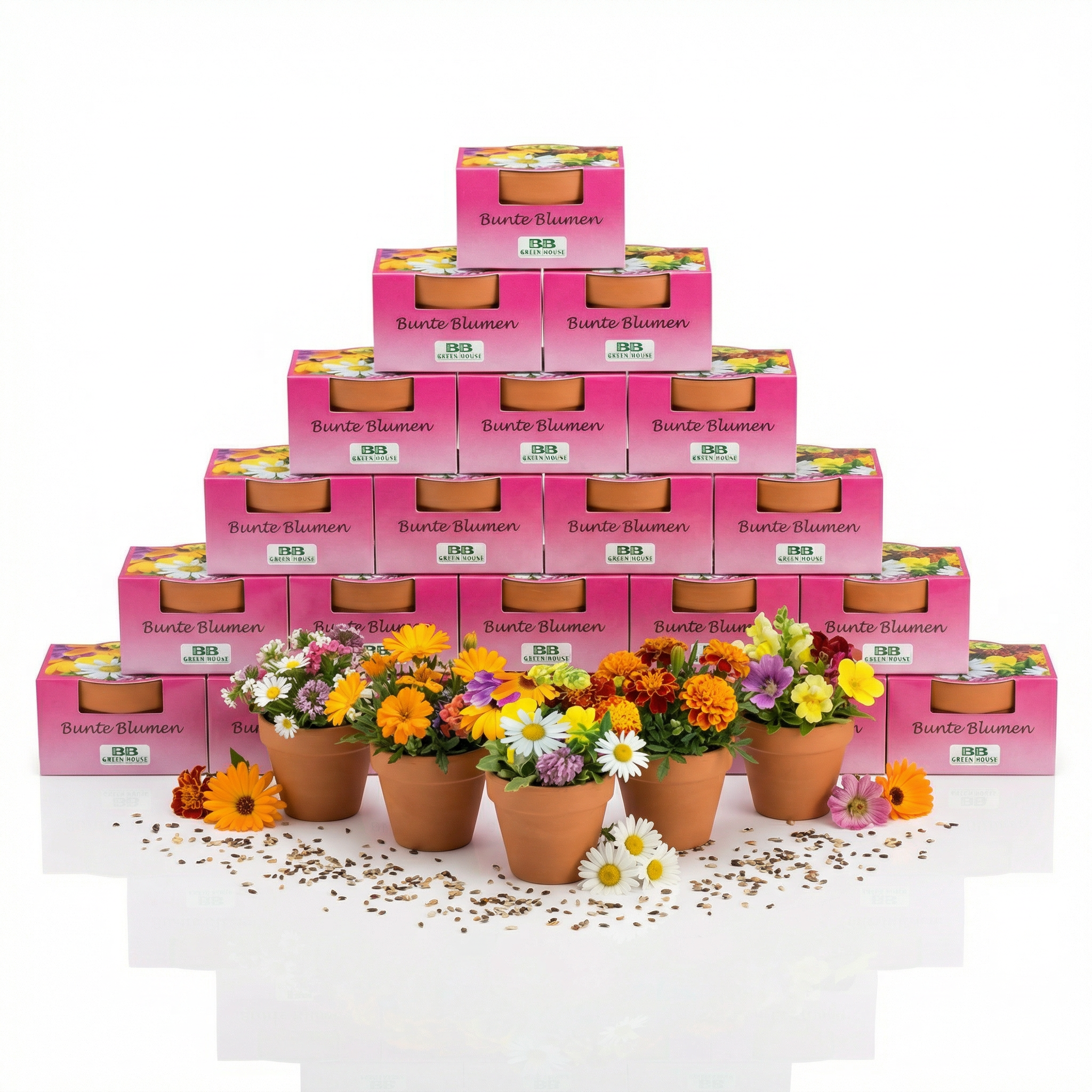 Minipflanzenset Bunte Blumen 20 Stk.