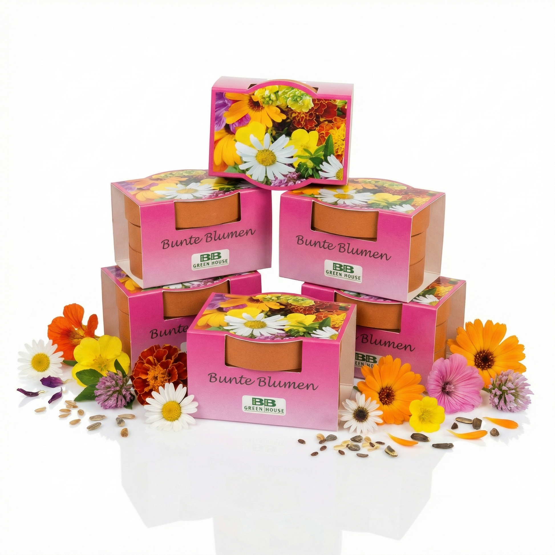 Minipflanzenset Bunte Blumen 5 Stk.