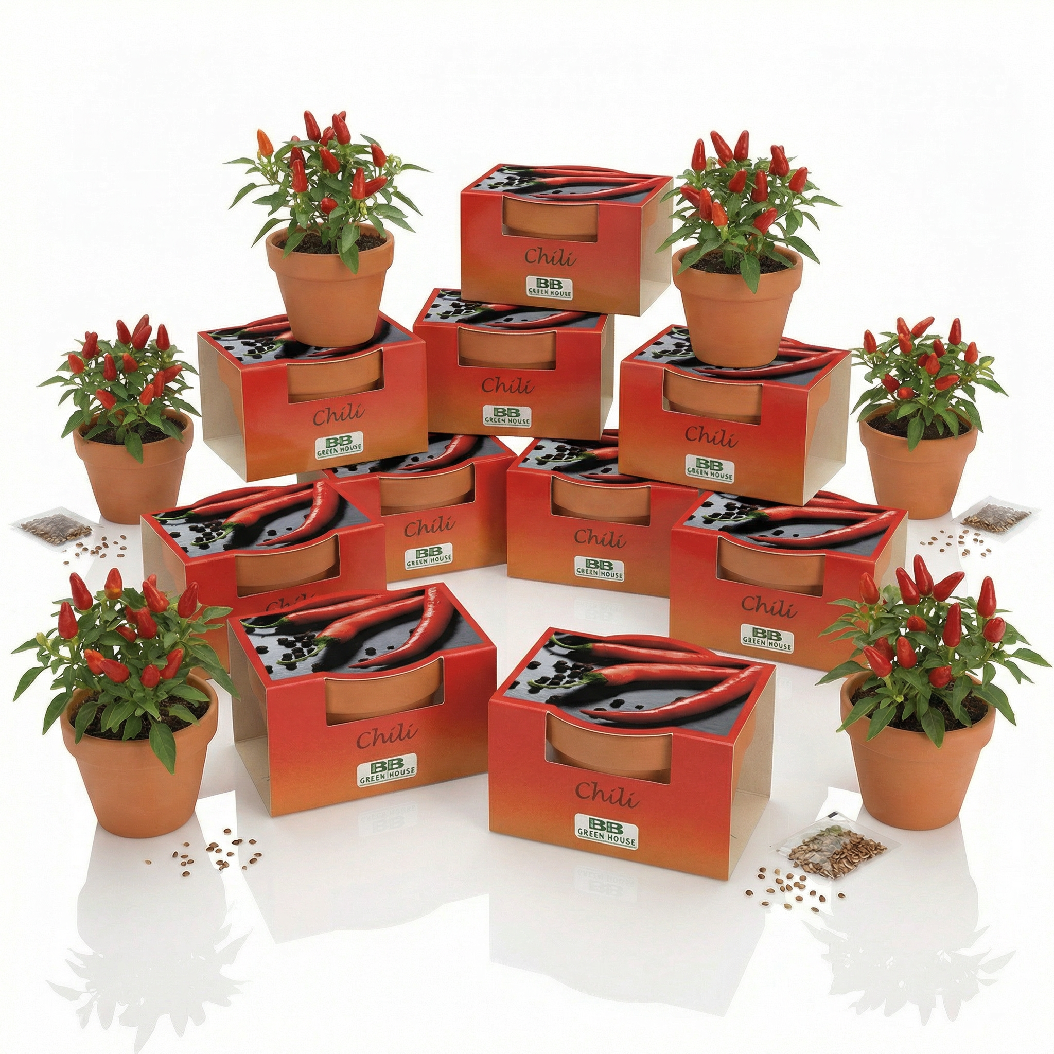 10 Stk. Minipflanzenset Chili
