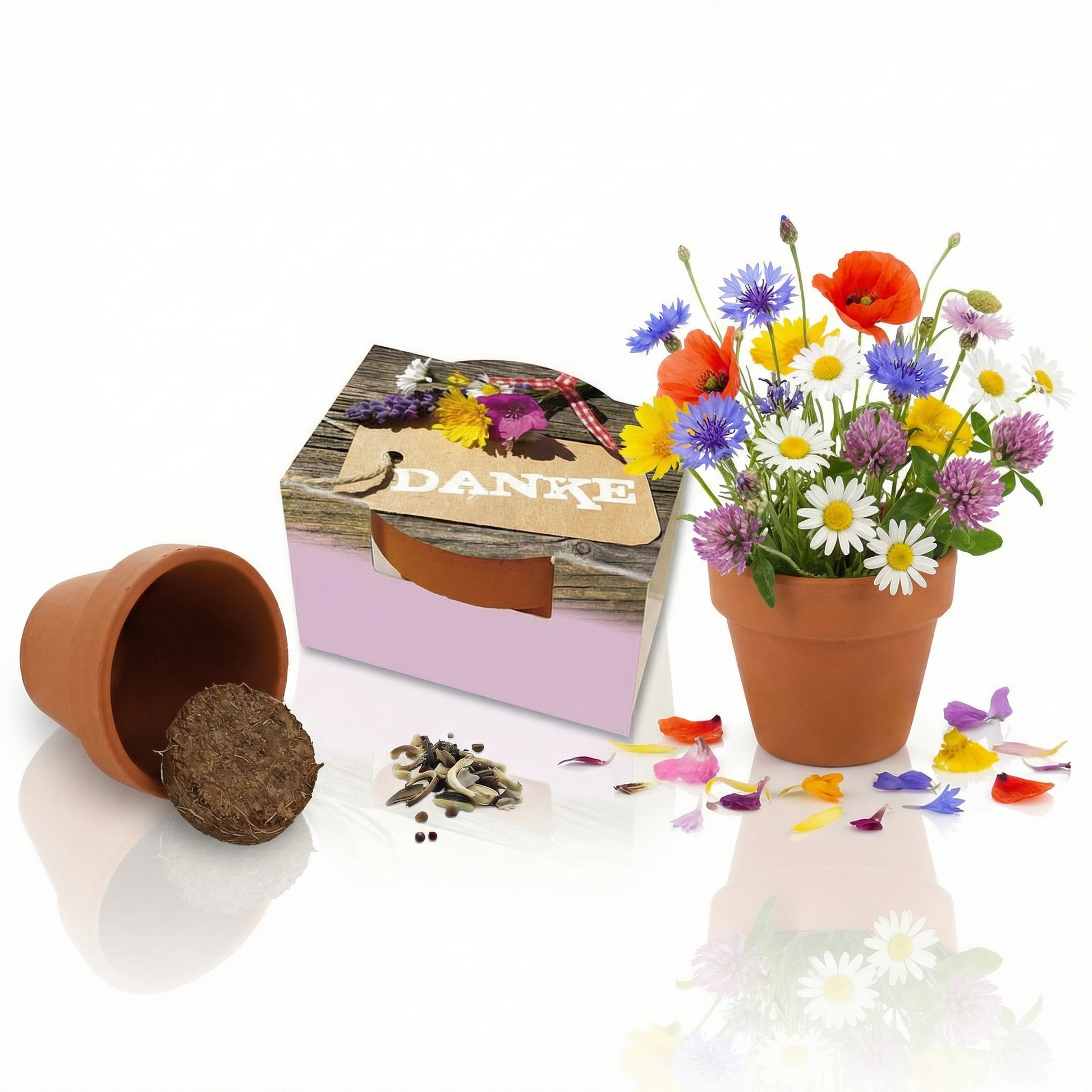 Pflanzenset mit aufdruck Danke  und kleinem Minitontöpfe mit blühenden Blumen, Substrattabeltte und Samen