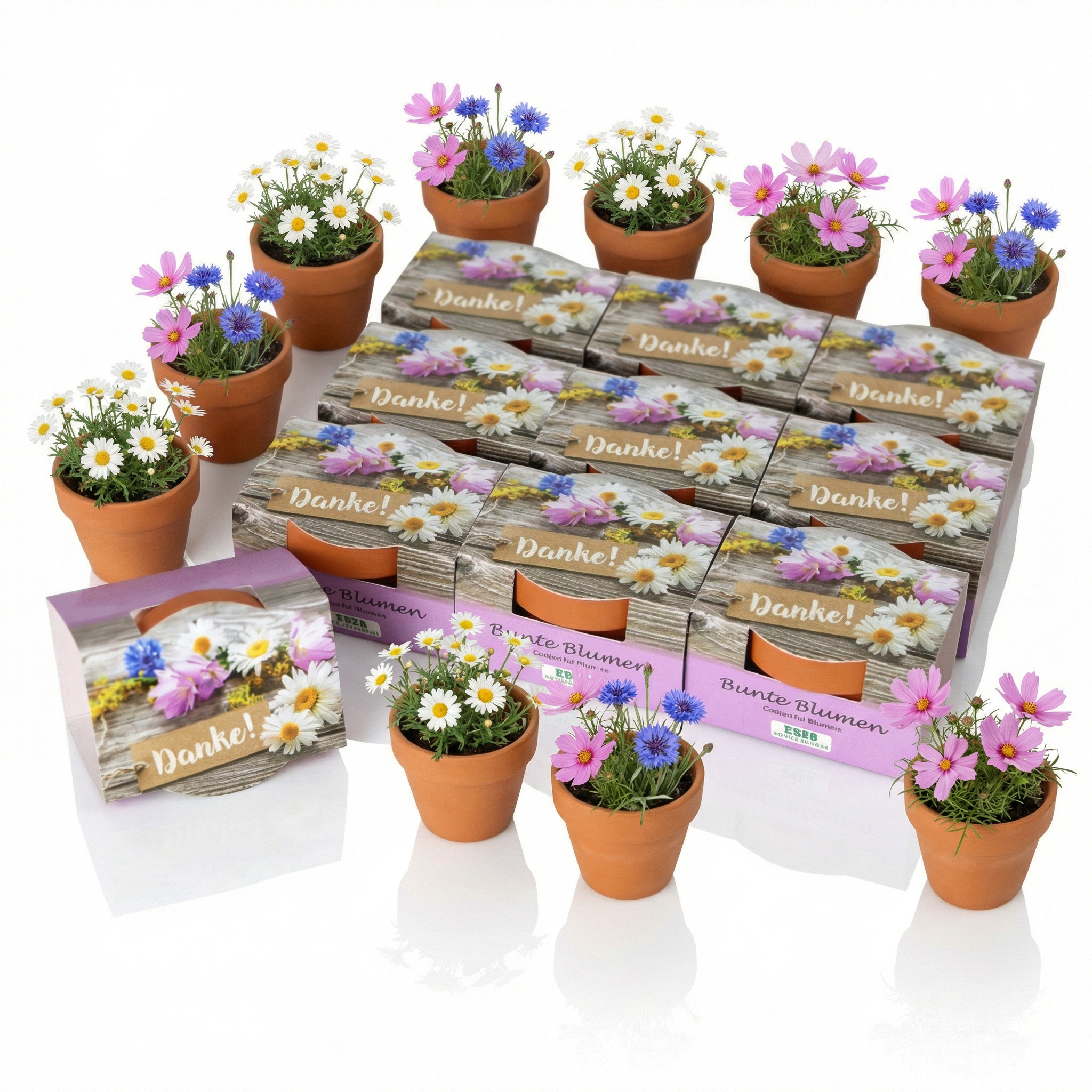 10 Stk.Minipflanzenset Danke 