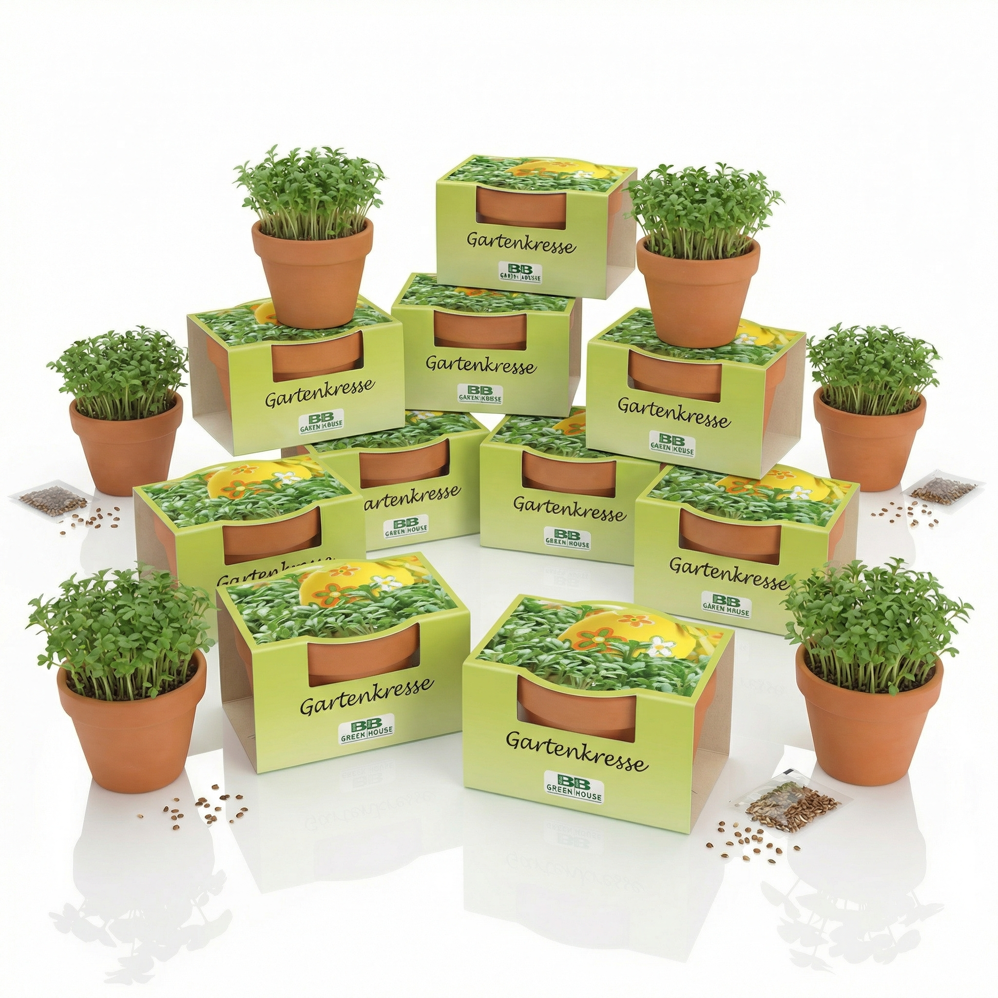 10 Stk Minipflanzenset Gartenkresse