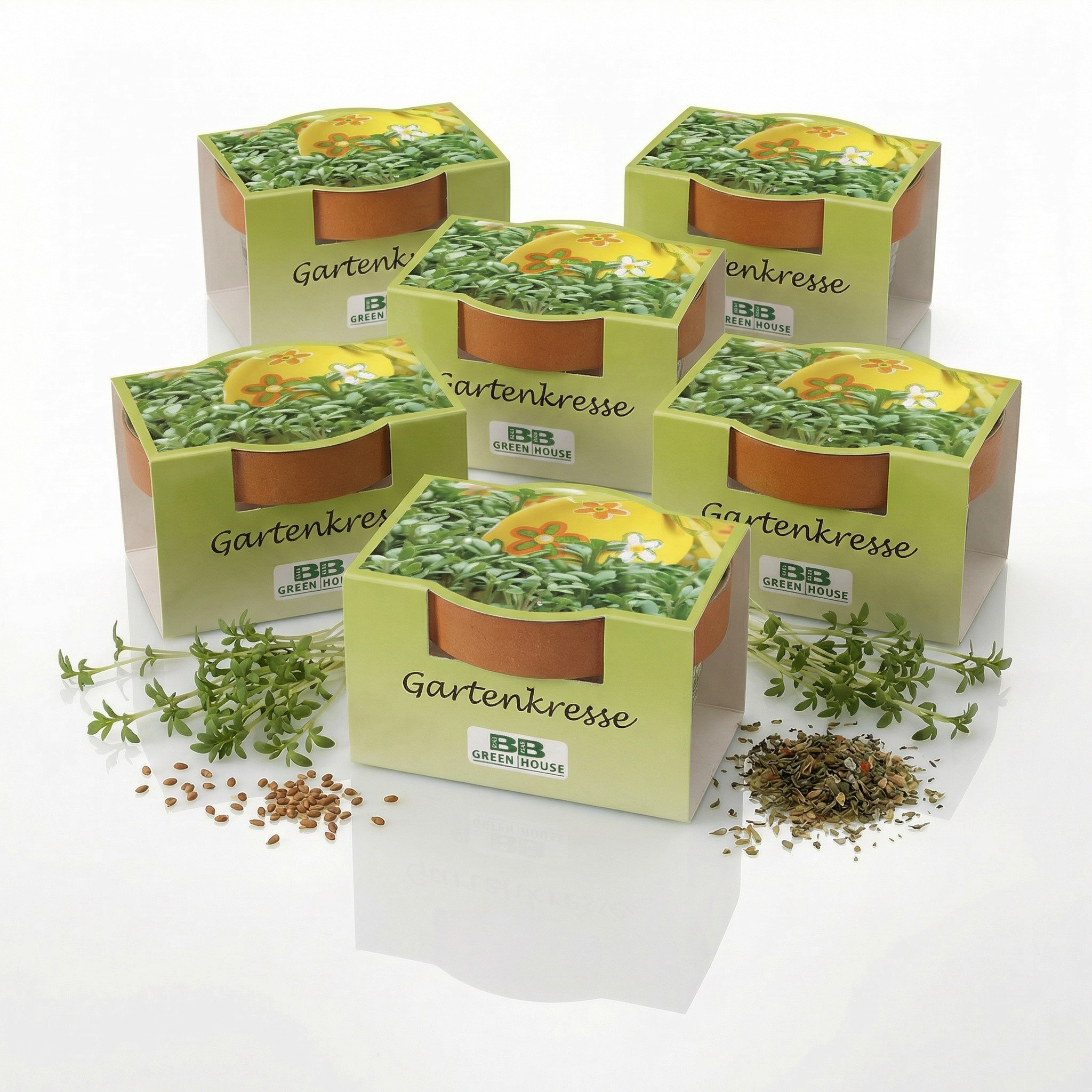Mini-Pflanzensets "Kresse"