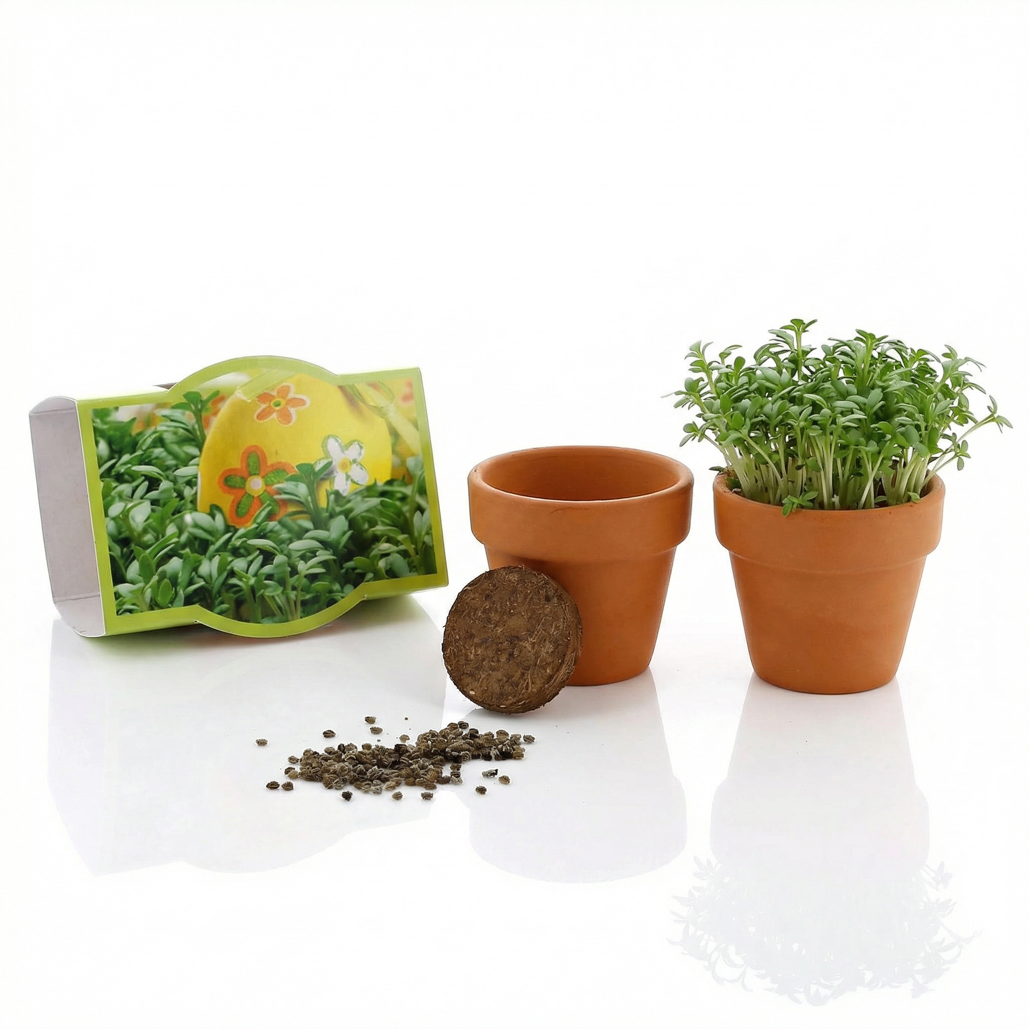 Anzuchtset Minipflanzenset Gartenkresse