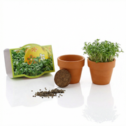 Mini-Pflanzensets "Kresse"