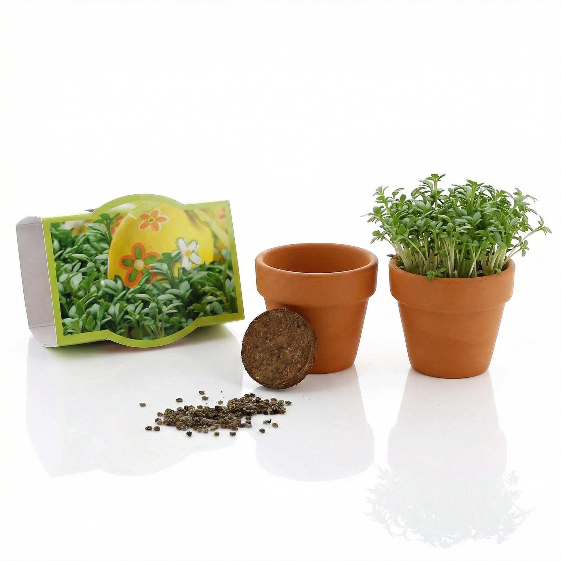 Anzuchtset Minipflanzenset Kresse