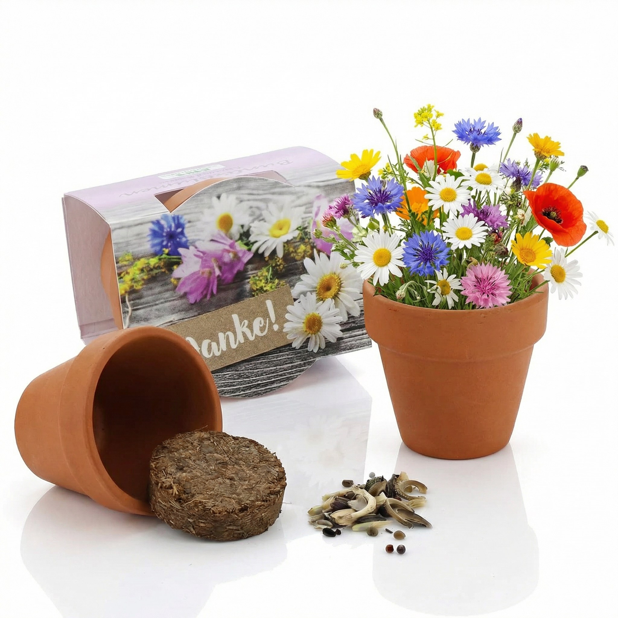 Mini-Pflanzenset Danke