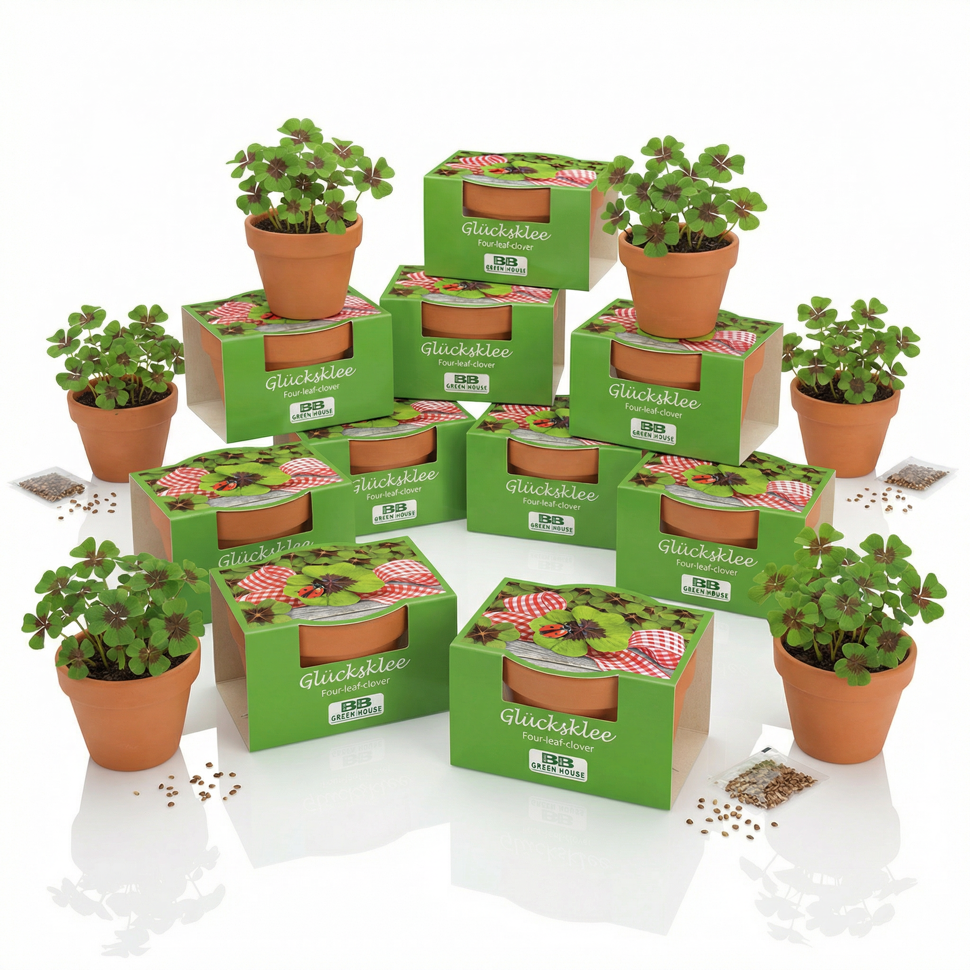 10 Stk Glückklee im Tontöpfchen