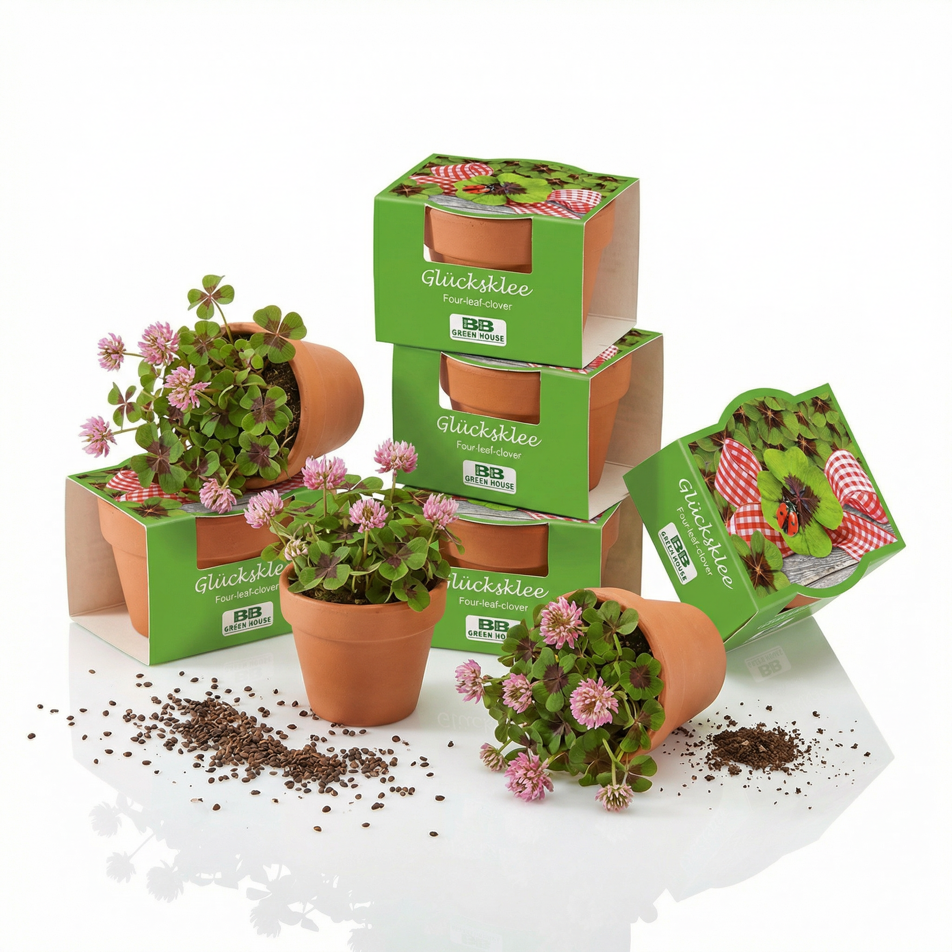 5 Stk Glückklee im Tontöpfchen, zustäzlich blühender Klee