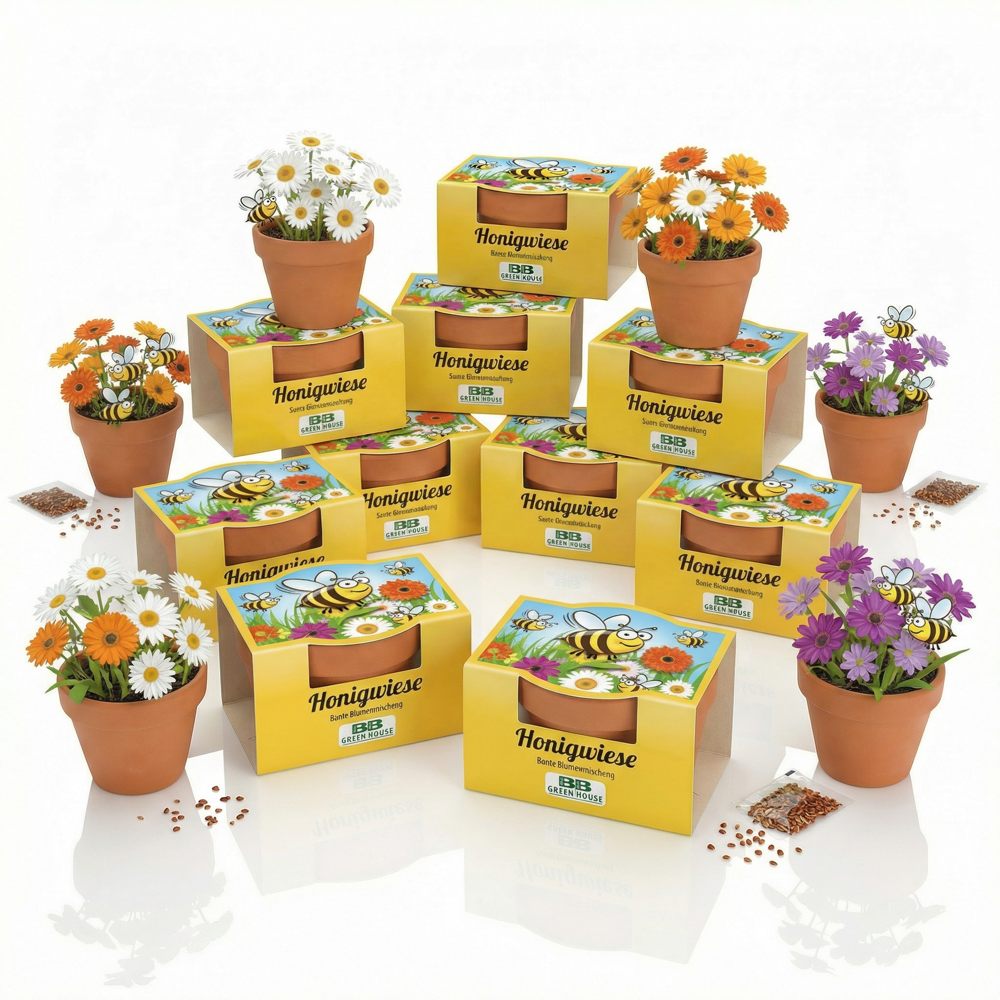 10 Stk Minipflanzenset Honigwiese 