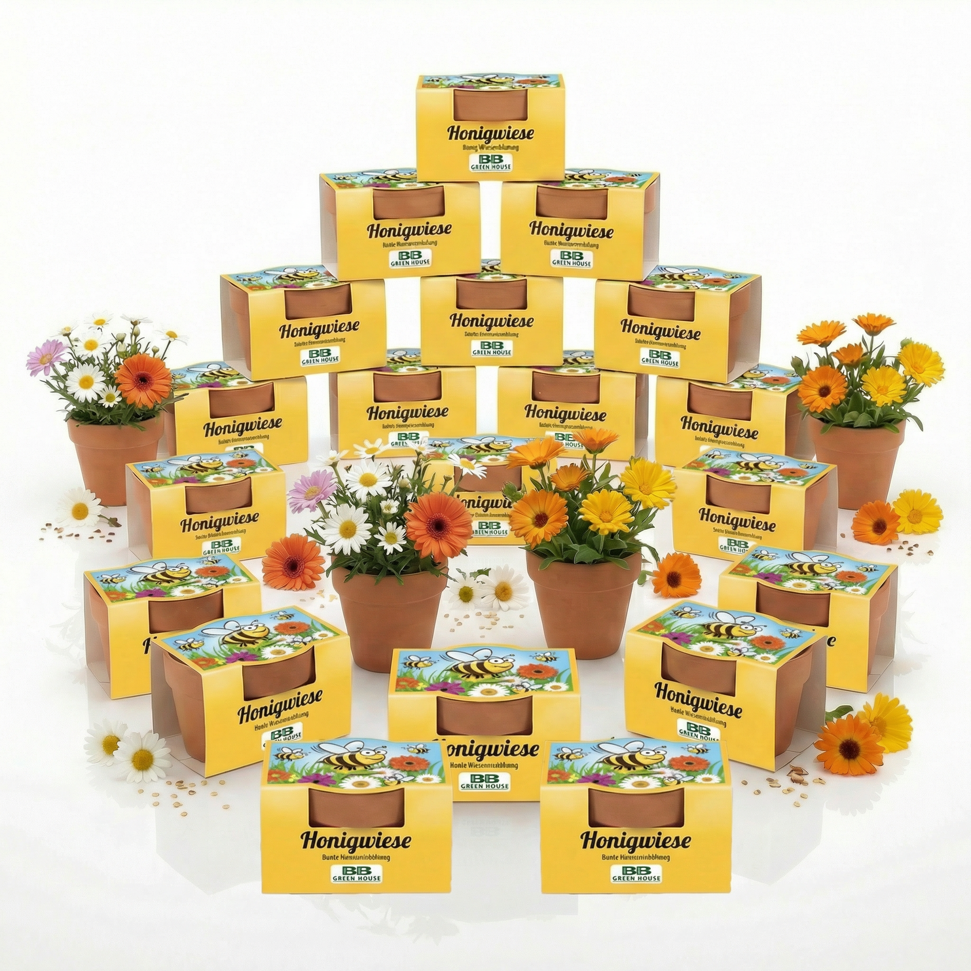20 Stk Minipflanzenset Honigwiese 