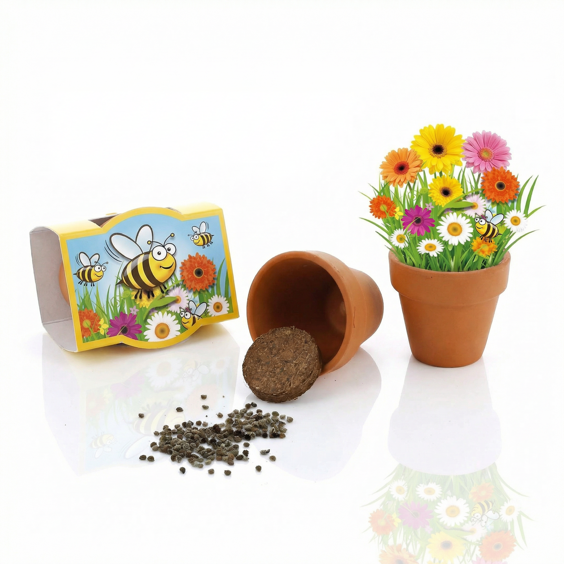 Anzuchtset Minipflanzenset Honigwiese 