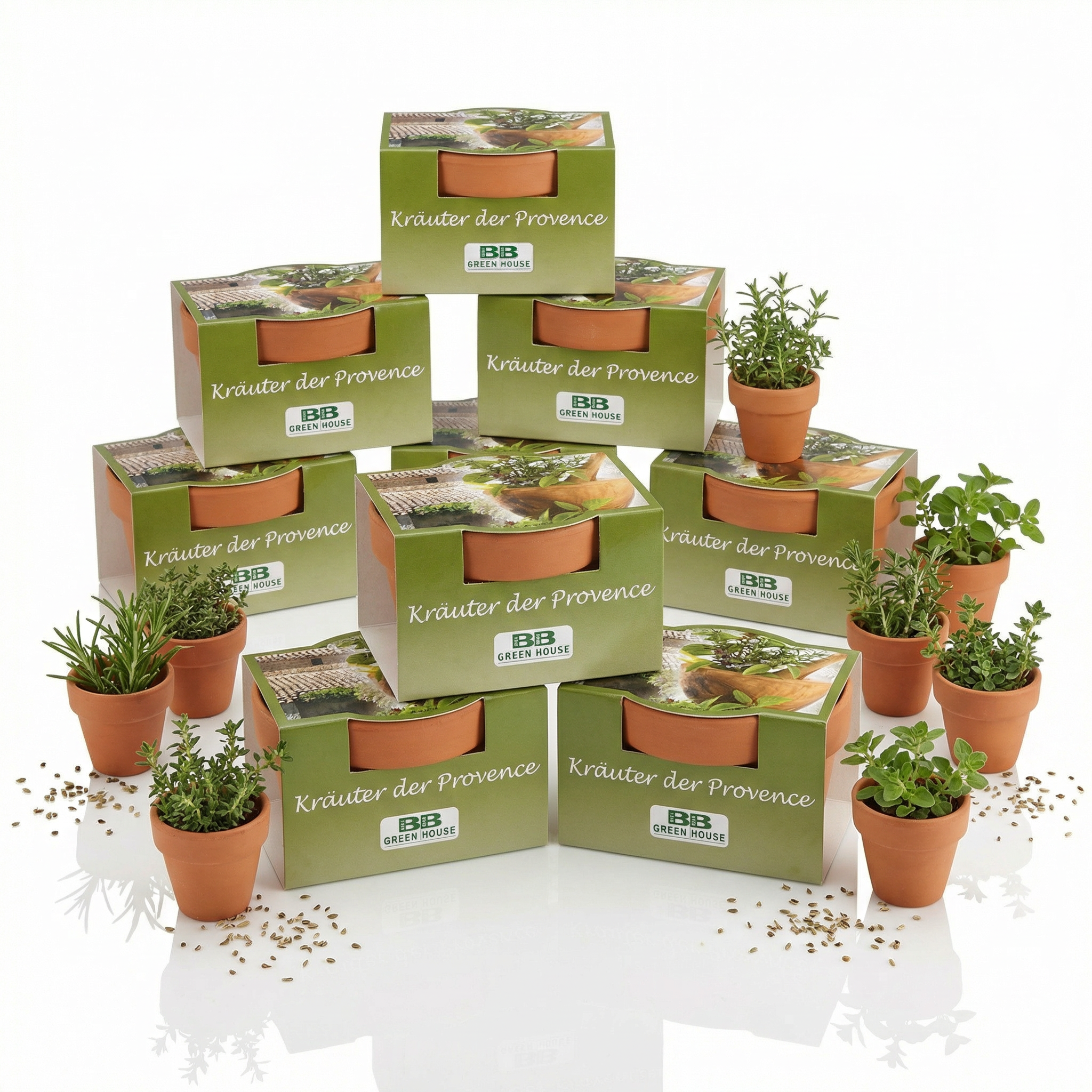 10 Stk. Minipflanzenset Kräuter der Provence