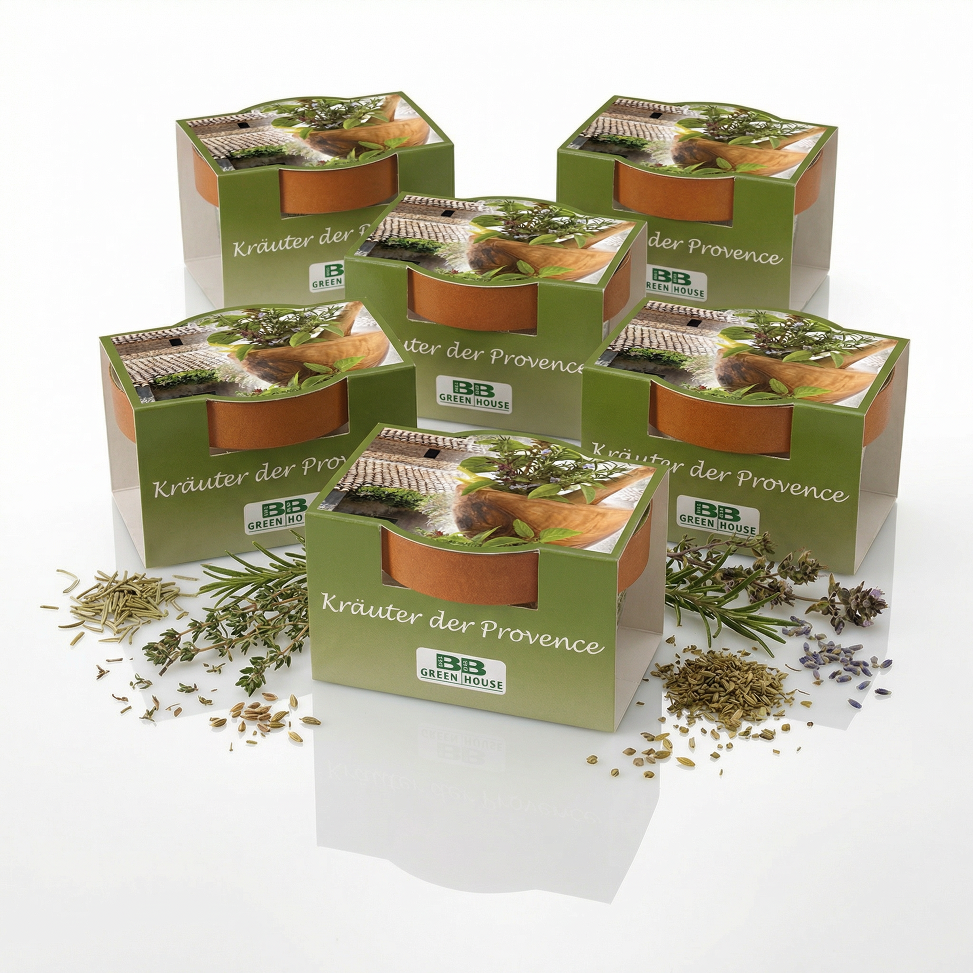 5 Stk. Minipflanzenset Kräuter der Provence