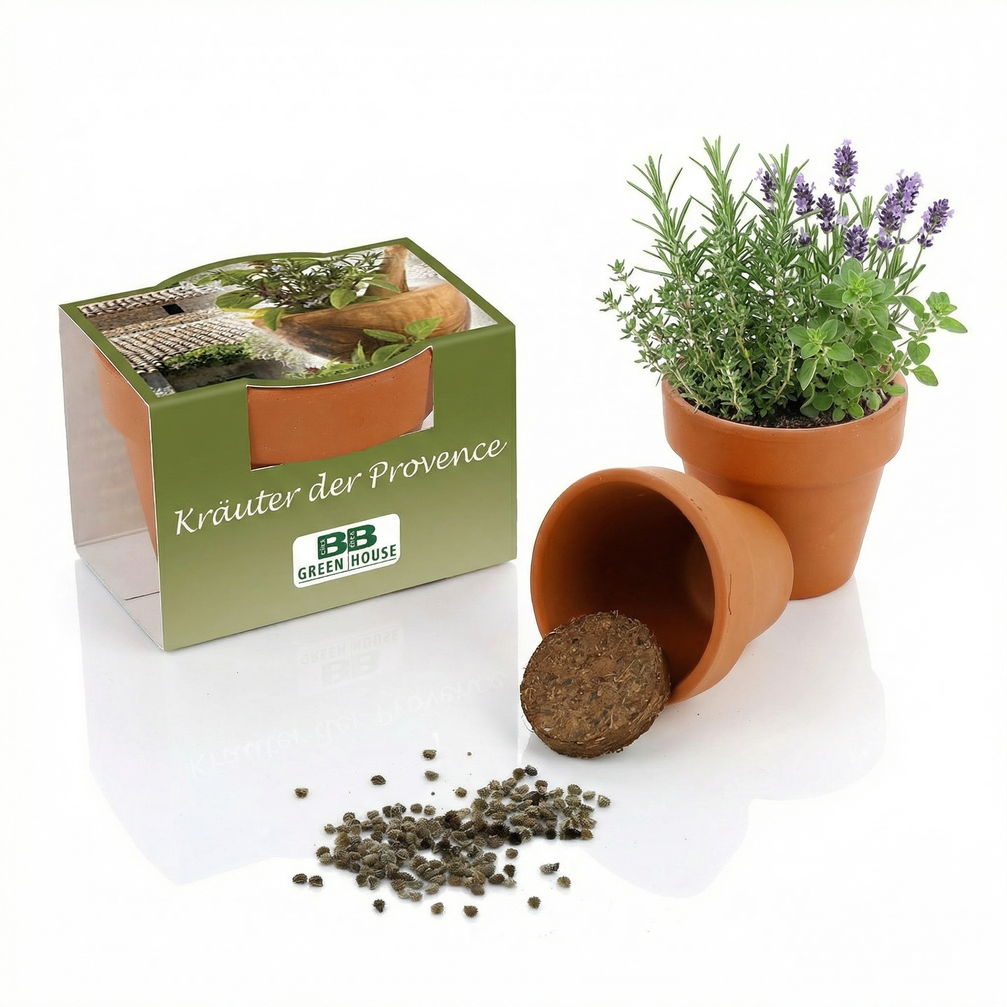 Anzuchtset Kräuter der Provence