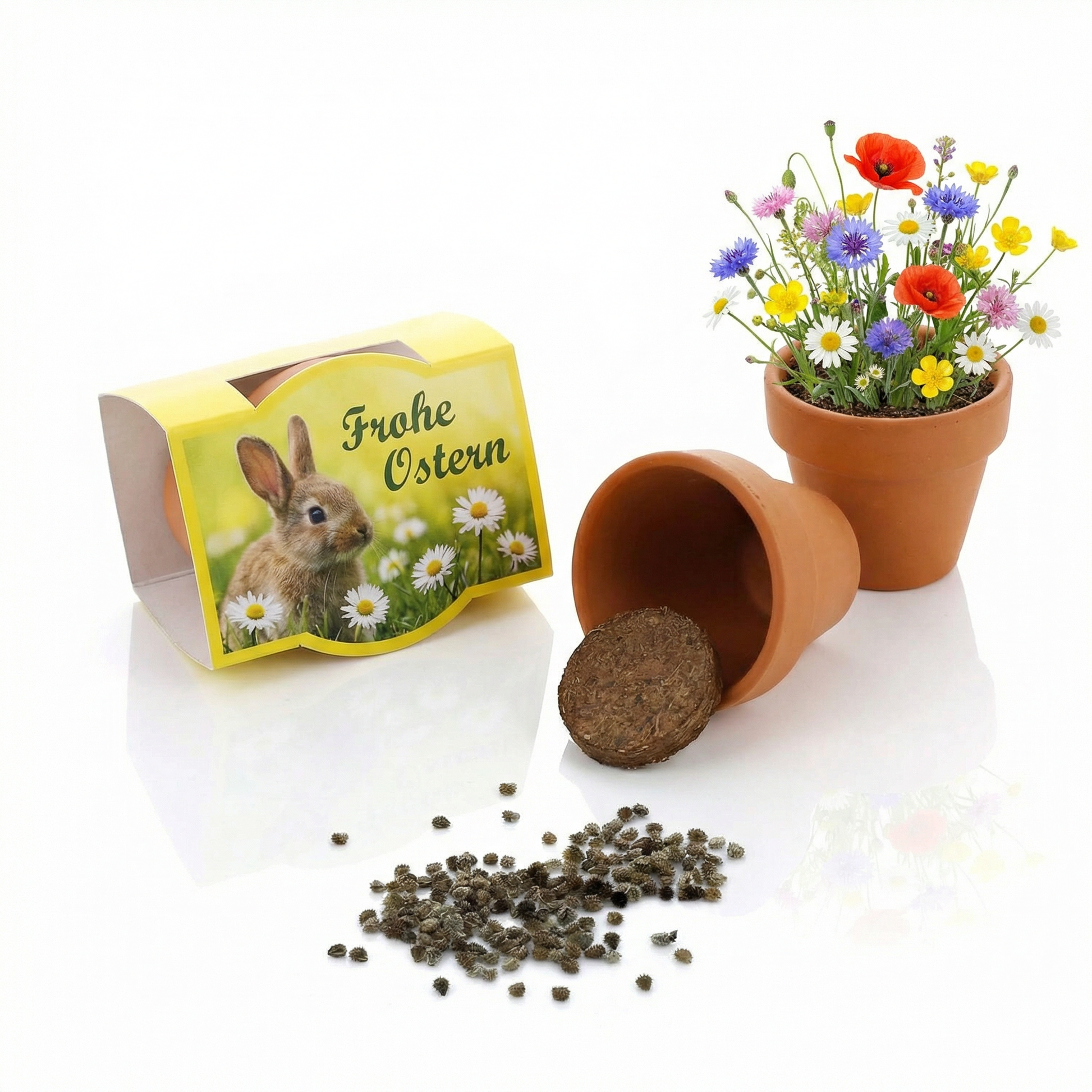 Anzuchset Minipflanzenset Frohe Ostern