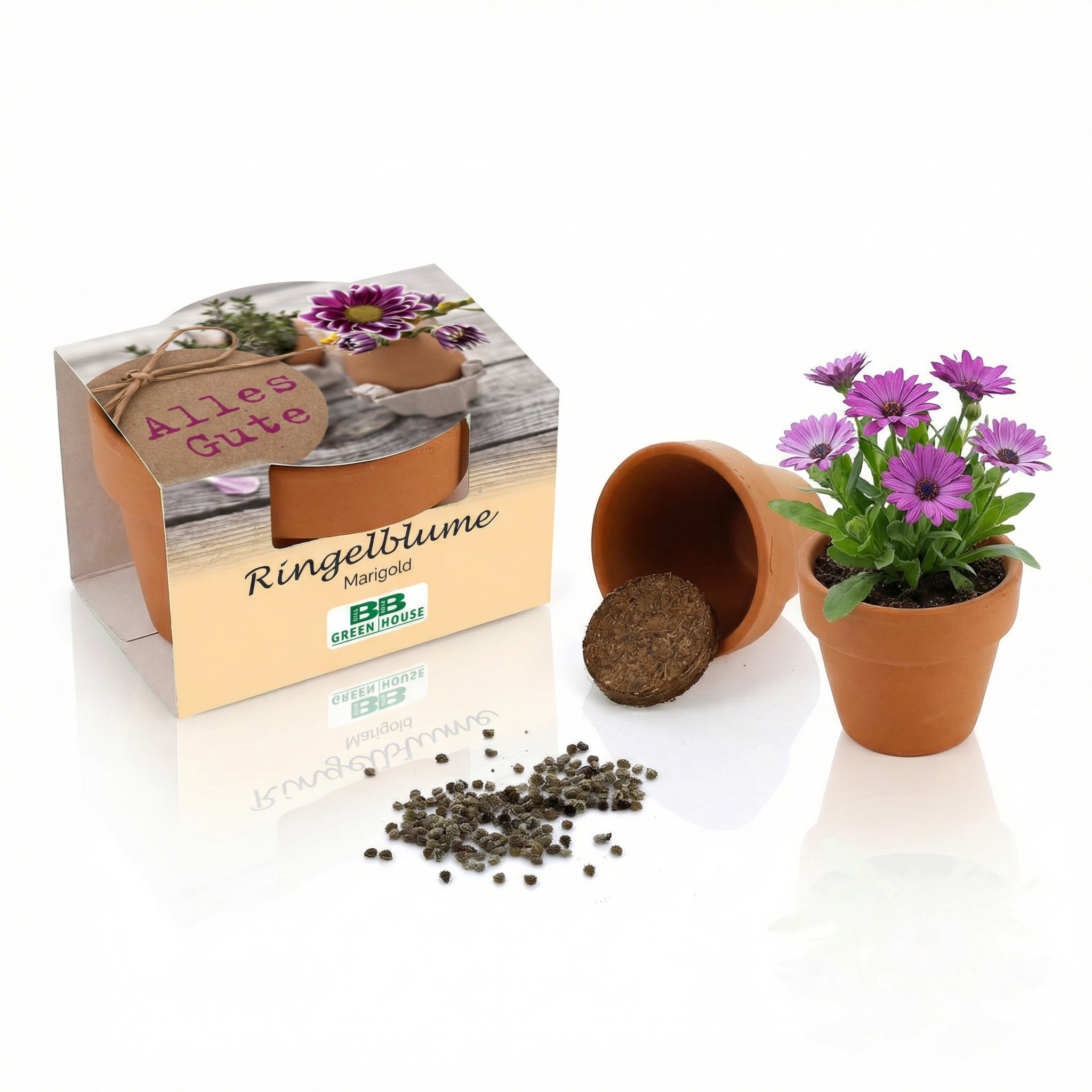 Mini-Pflanzsets "Alles Gute"