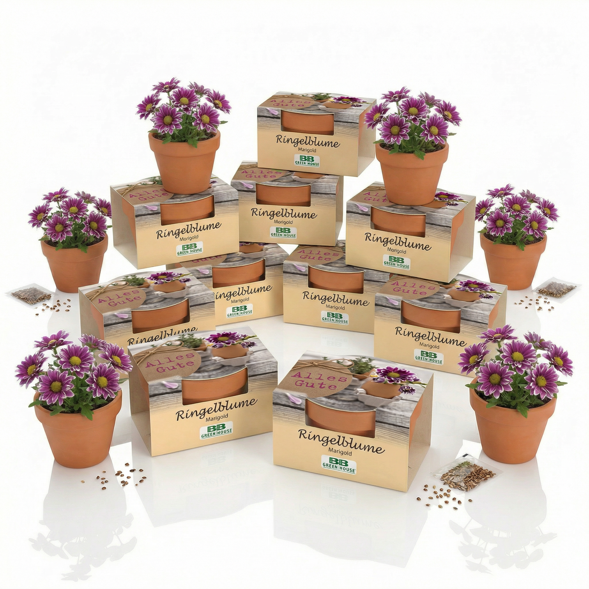 Mini-Pflanzsets "Alles Gute"