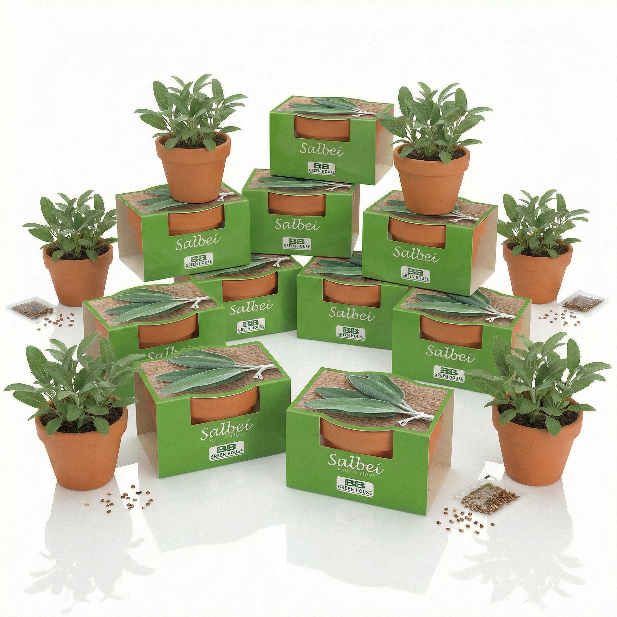 10 Stk Anzuchtset Minipflanzenset Salbei