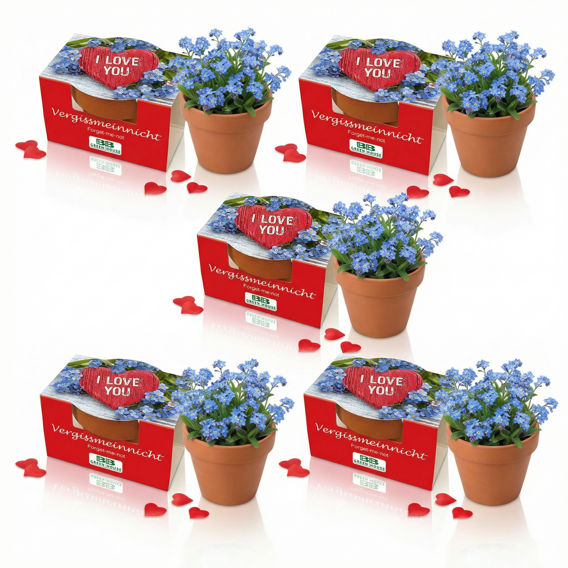 Minipflanzenset I love you Vergissmeinnicht 5 Stück