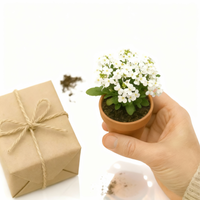 Geschenkkorb Zauberhafte Weihnacht