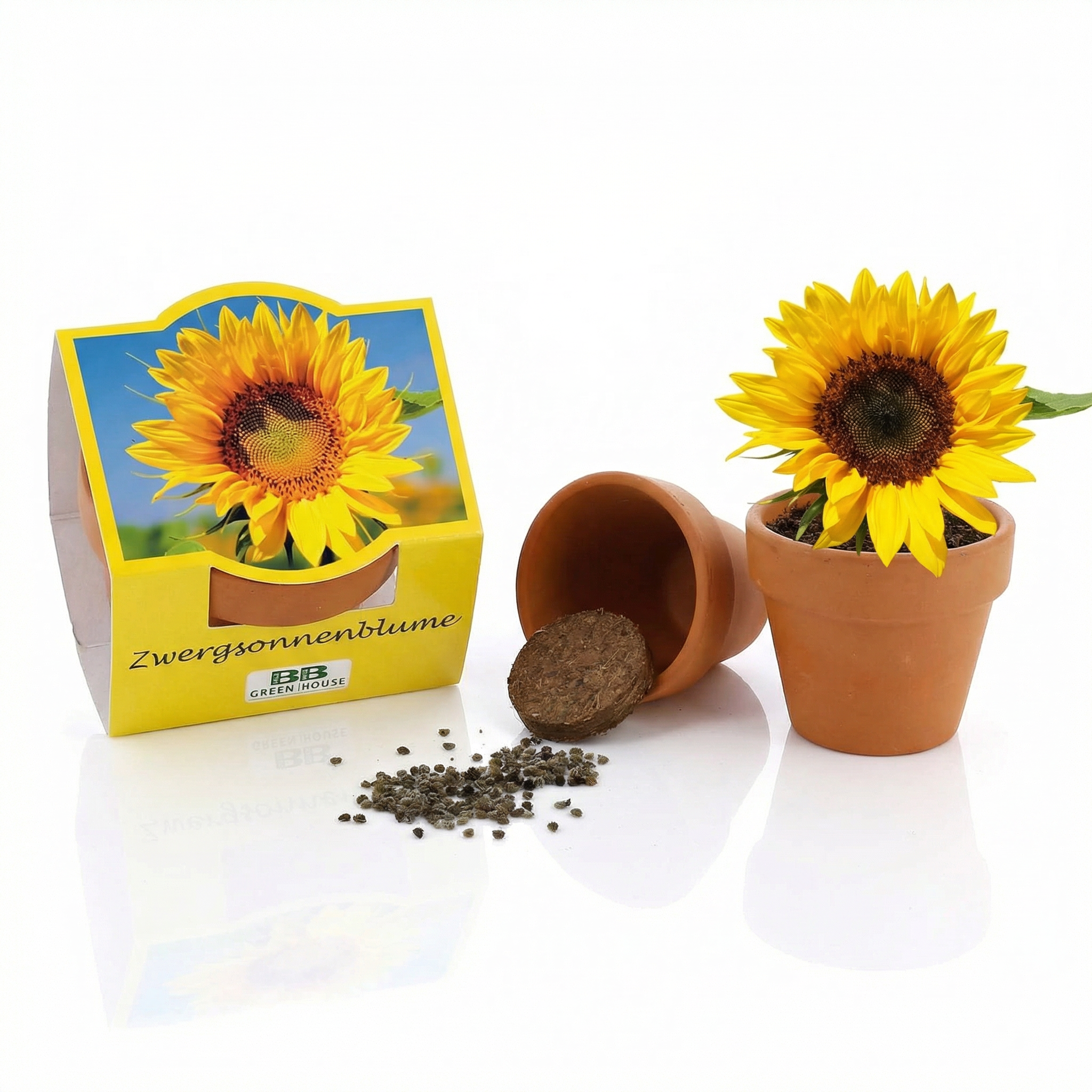 Geschenkset  Honigwiese Alle Neune