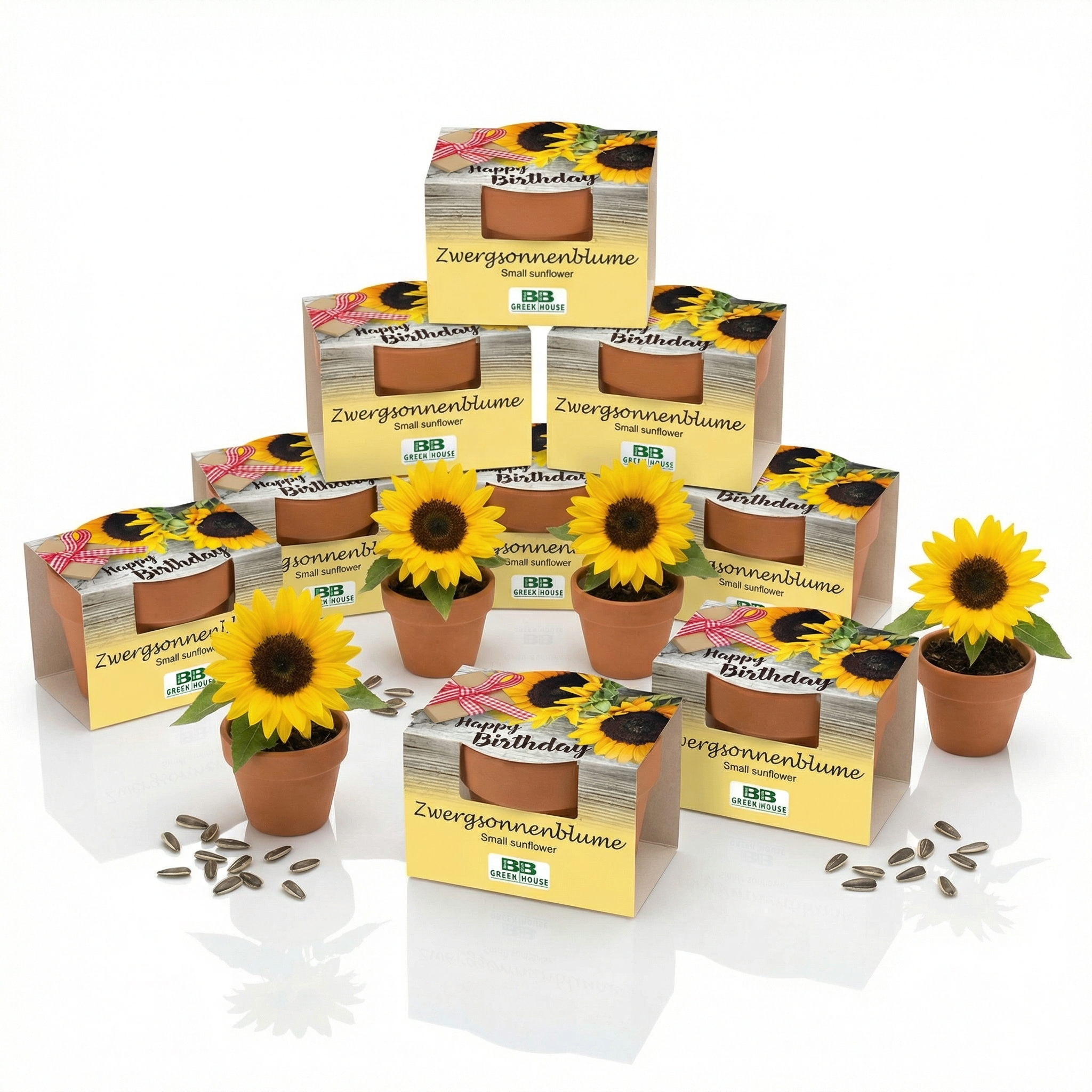 10 Stk. Anzuchtset für Zwergsonnenblume mit Happy birthday aufschrift