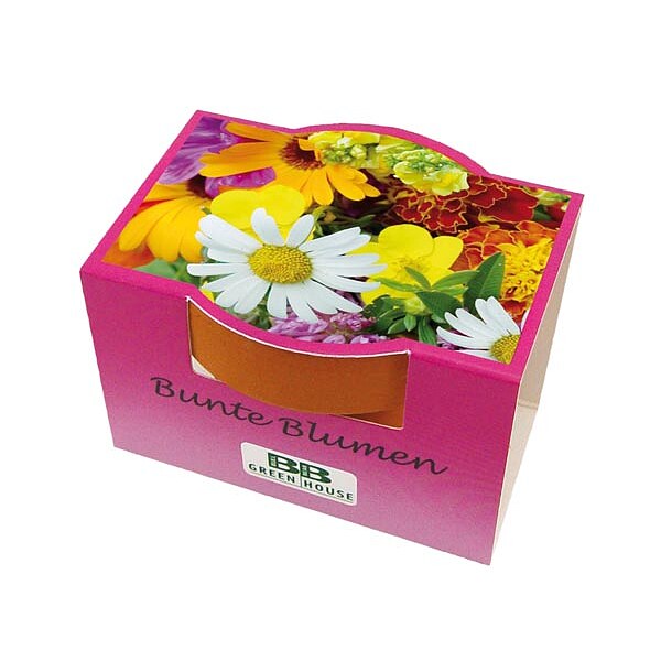 Mini-Pflanzset "Bunte Blumen"